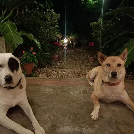 Villa Albizia, Chiang Mai Doi Saket Zewnętrze zdjęcie