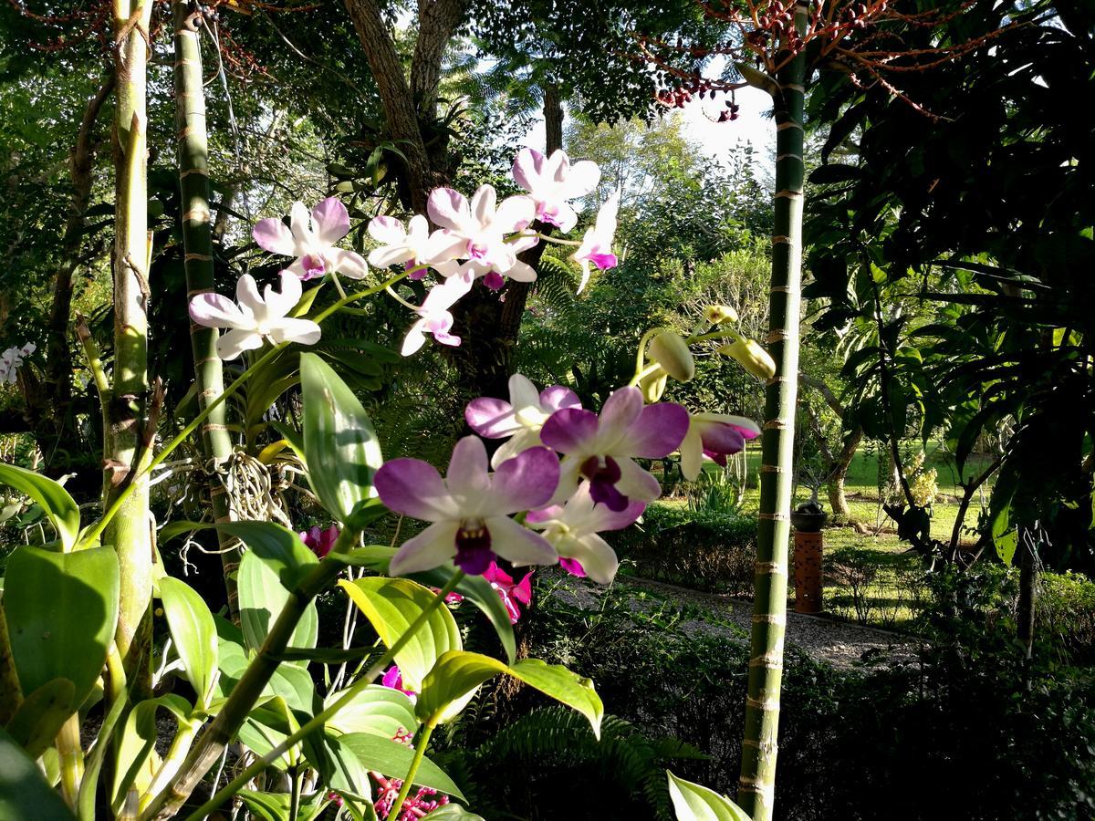 Villa Albizia, Chiang Mai Doi Saket Zewnętrze zdjęcie
