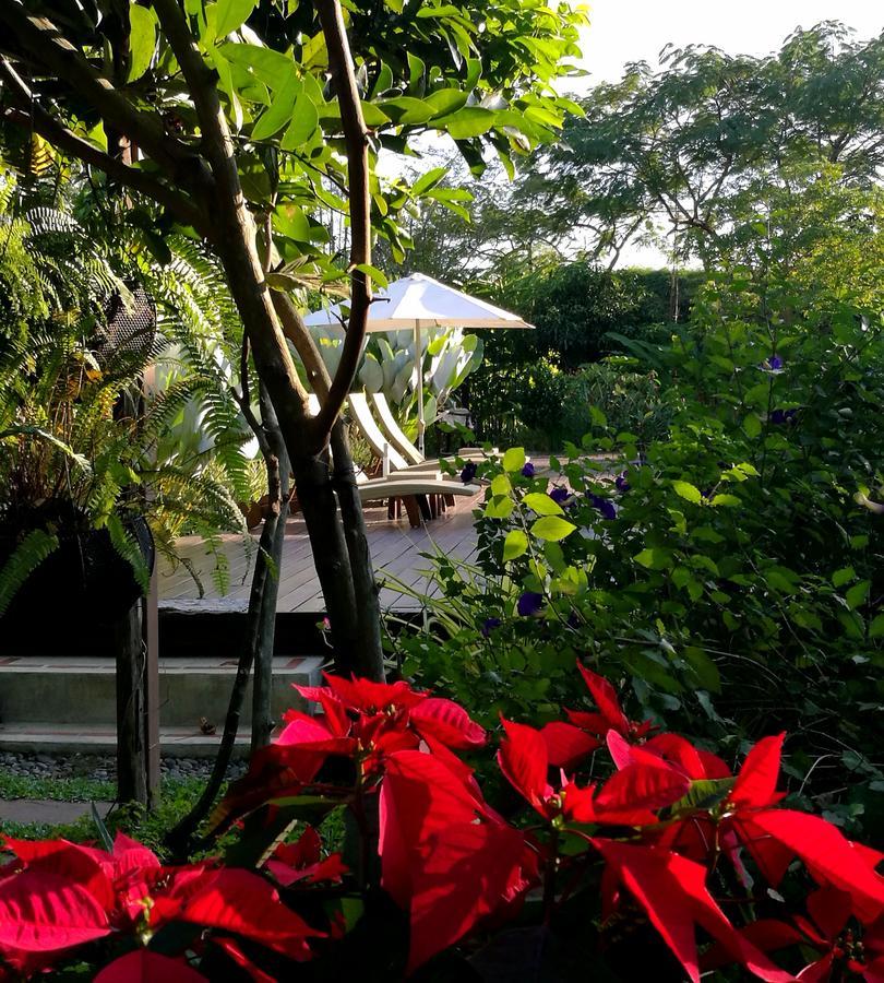 Villa Albizia, Chiang Mai Doi Saket Zewnętrze zdjęcie