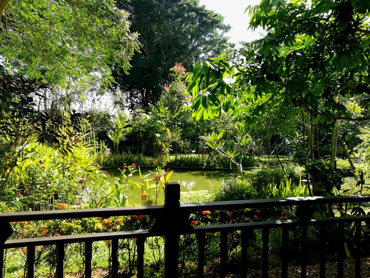 Villa Albizia, Chiang Mai Doi Saket Zewnętrze zdjęcie