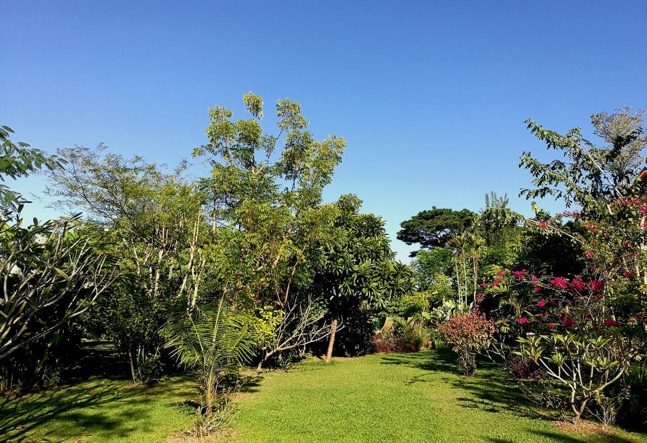 Villa Albizia, Chiang Mai Doi Saket Zewnętrze zdjęcie